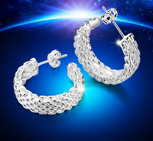 Load image into Gallery viewer, Stunning Genuine 925 Sterling Silver Mesh Earrings - Special Offer!